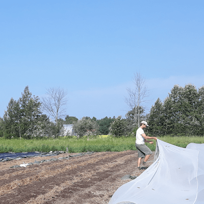 Ryan Spence folds back a white row cover, opening up rows of empty no-till beds