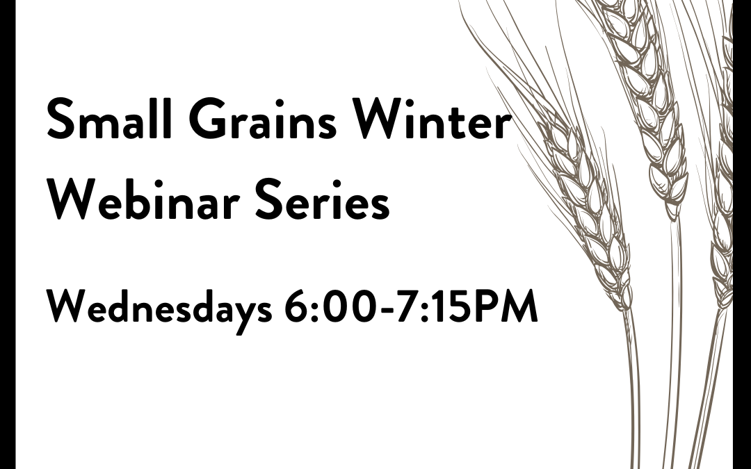 Small Grains Winter Webinar Series