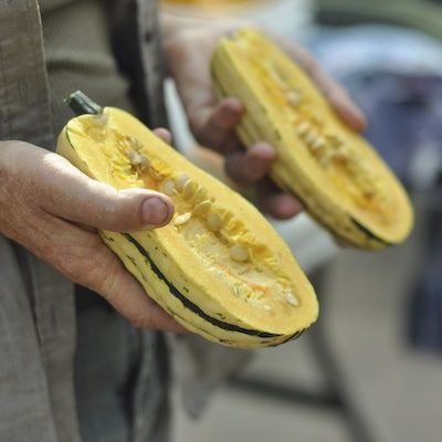 Close up of a person's hands holding two squash halves with seeds exposed