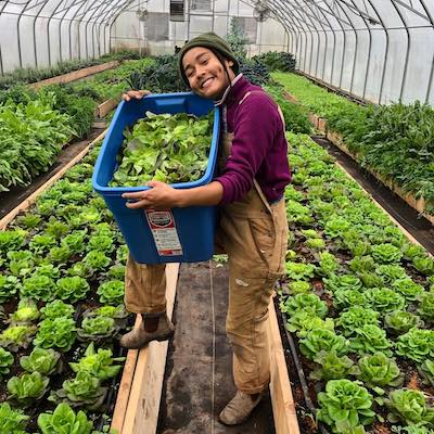 A smiling brown-skinned person stands proudly in a greenhouse full of lettuce, holding a bin of harvested greens