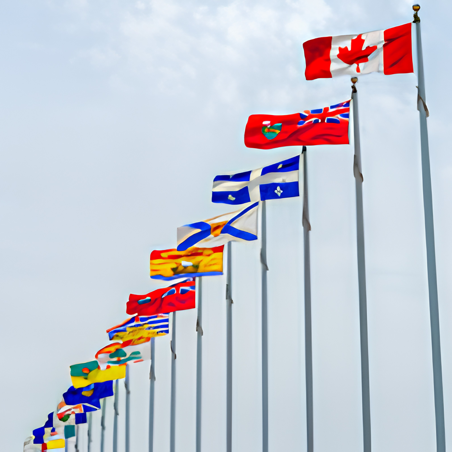 Many flags, Firs the Canadian flag and the following are different provinces