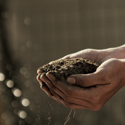 Interpreting Soil Tests & Choosing Amendments