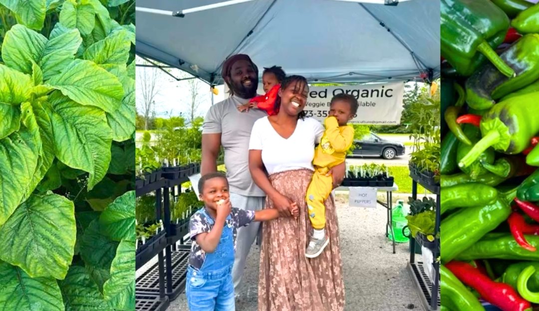 Field Day with Urban Fresh Produce