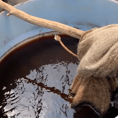 A close up view into a light blue bucket full of dark purple-brown liquid. The bucket has a stick laying across the top with a burlap pouch attached which hangs into the liquid.