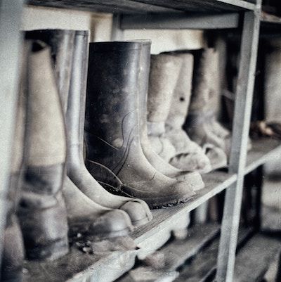 Various pairs of muddy rubber boots sit on a shelf