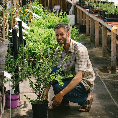 A light skinned person with a short beard crouches down smiling next to a potted shrub inside a wooden greenhouse