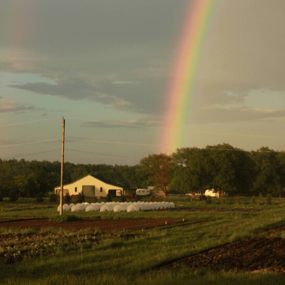 Farming in Northeastern Ontario at Field Good Farms