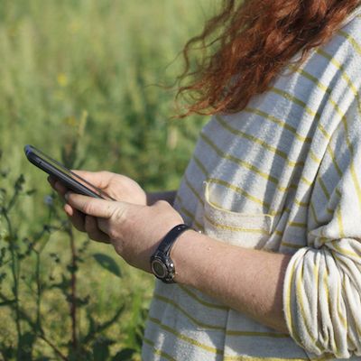 Digital Tools in the Farming World