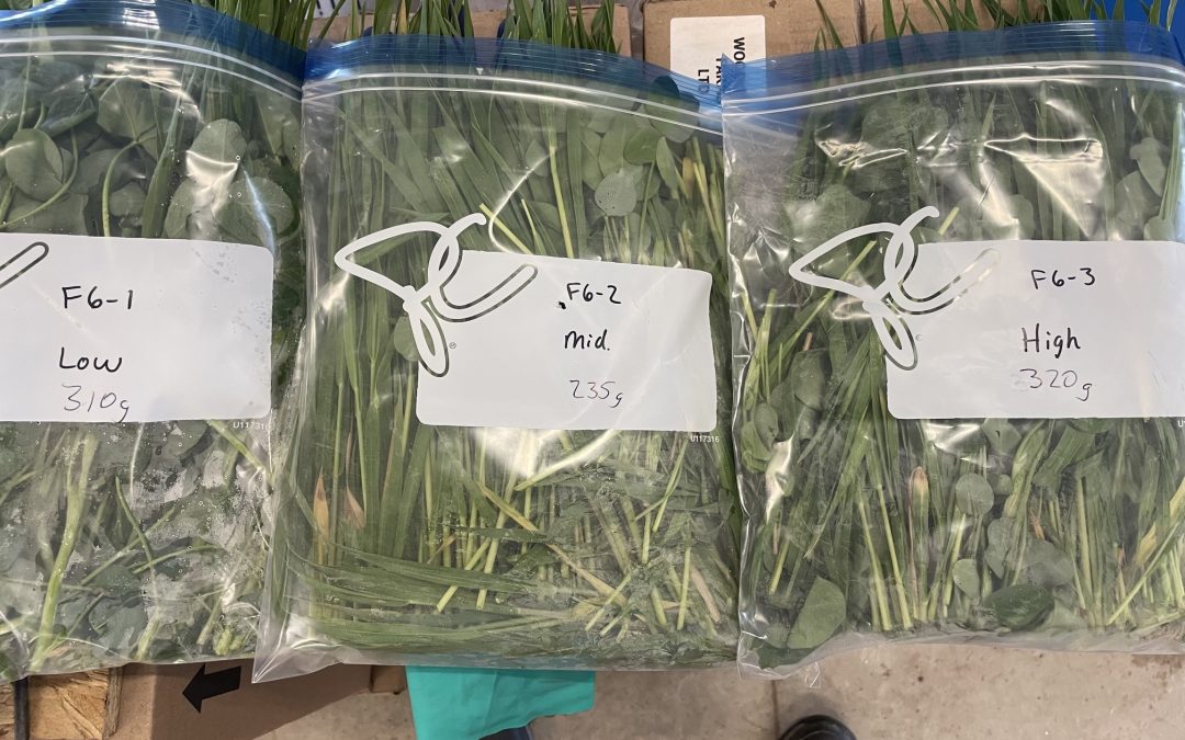 2026 Farmer-led research trials