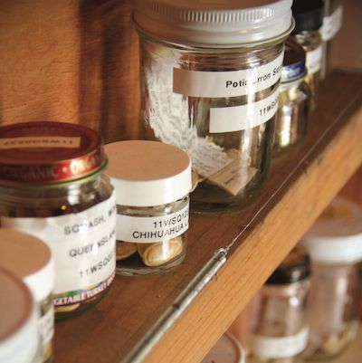 Various sized jars of different kinds of seeds sit on a brown wooden shelf