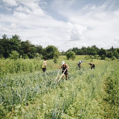 Online Farm Planning Course