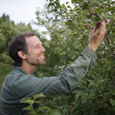 A white person with short brown hair smiles up at an apple they are holding on the branch of a tree