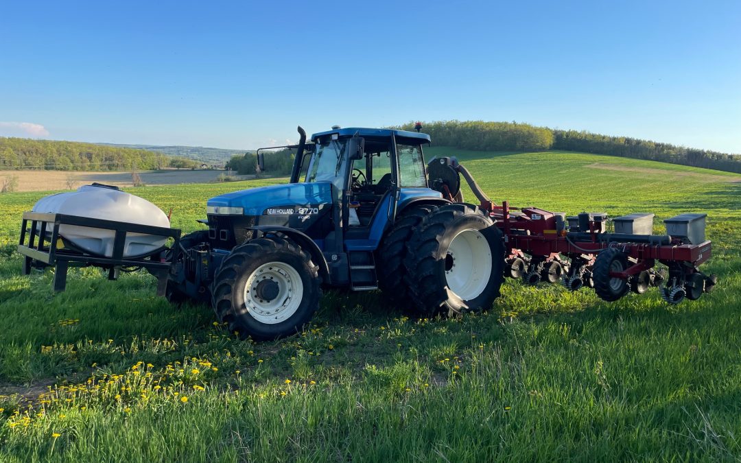 Exploring Nitrogen Strategies On-Farm with Norm Lamothe