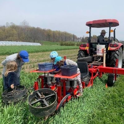 Living Labs No-Till Vegetable Trials – Late Spring 2021