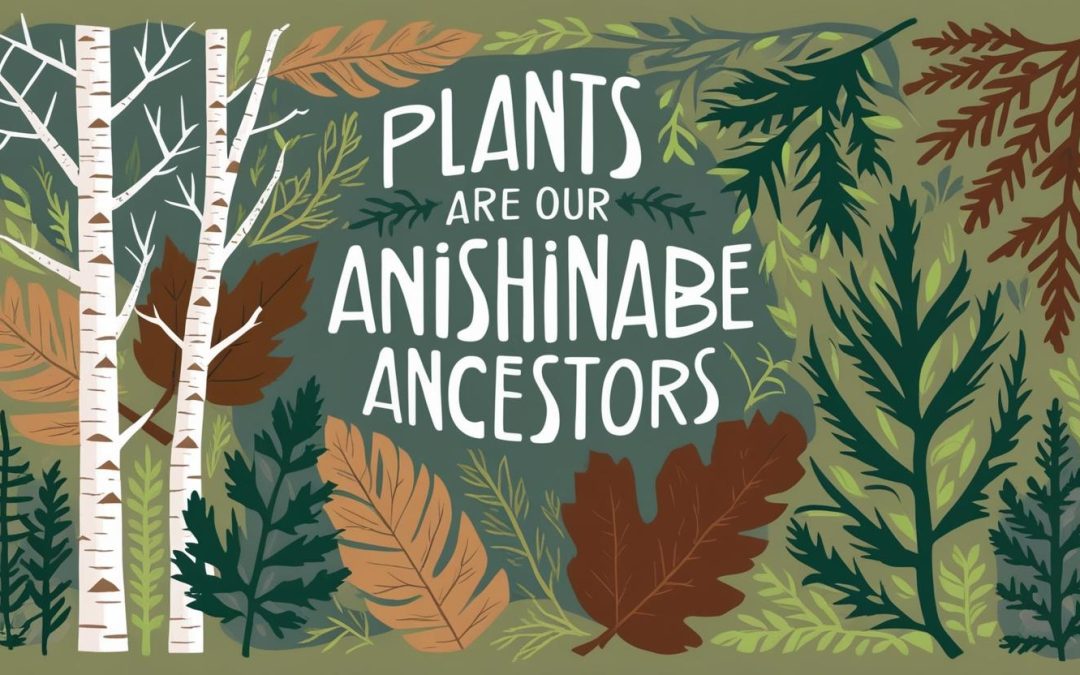 Plants are our Ancestors