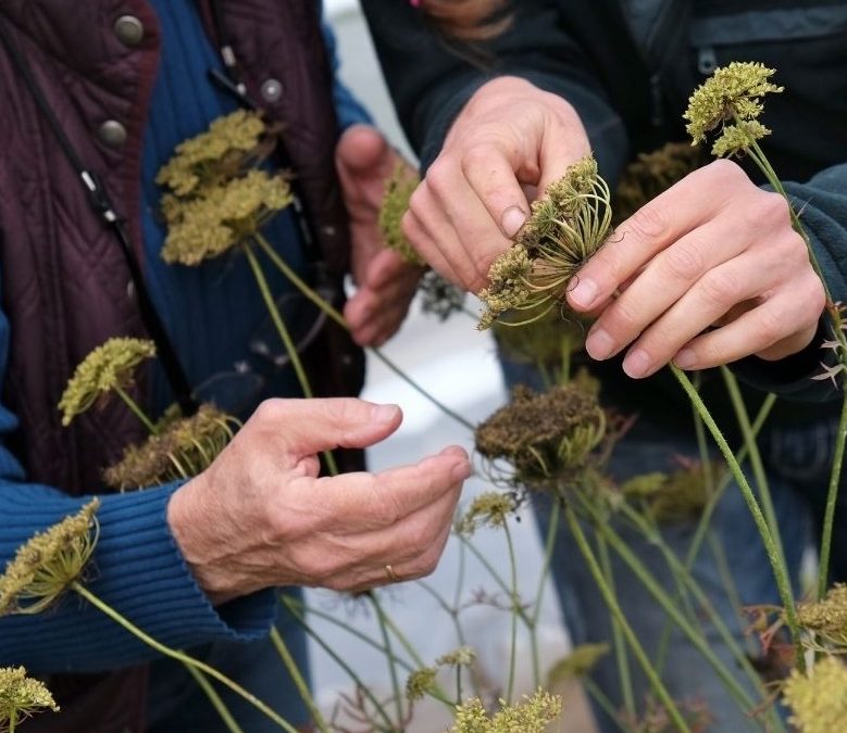 People Powered Seed: Co-op and Community Models