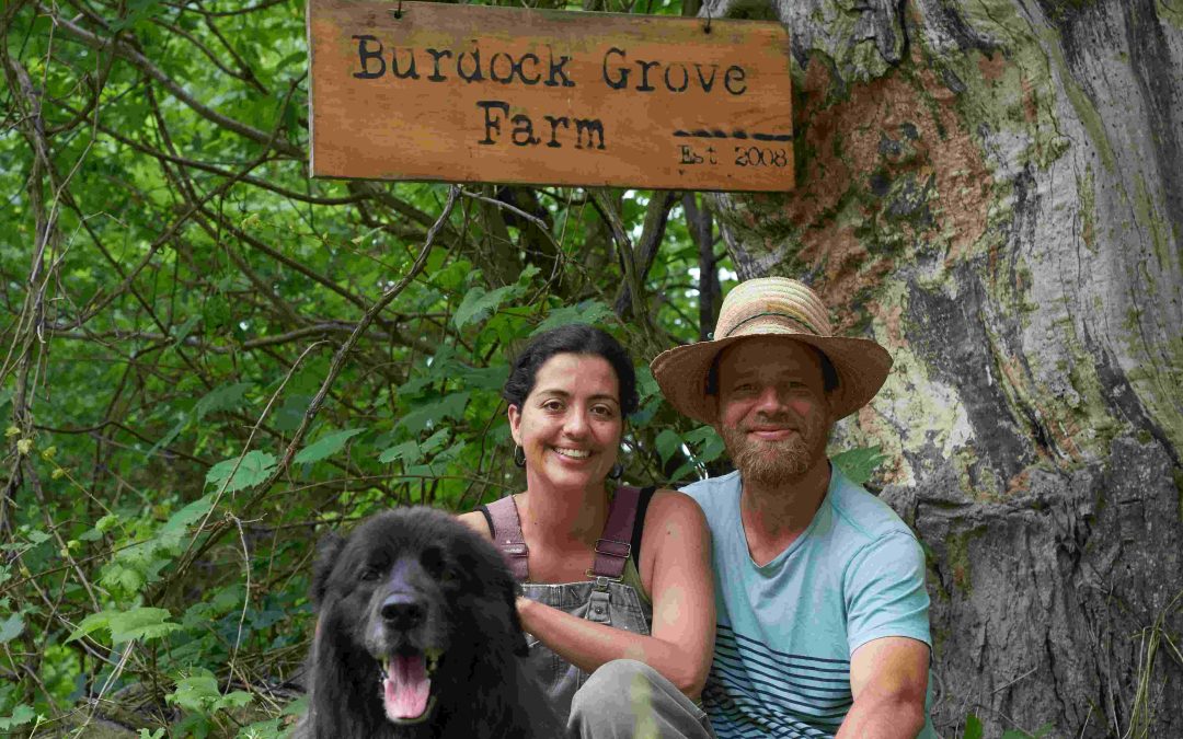 Saugeen River CSA & Burdock Grove Farm