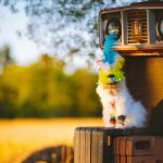 A fluffy cat wearing a colourful feathered hat and 2 rainbow wristbands sits on a tractor at golden hour