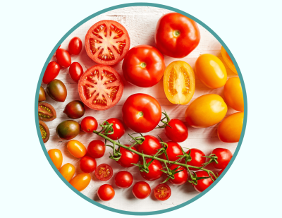 Top view of a plate of all different tomato varieties, including red cherries on a stem, and larger orange and red tomatoes sliced in half