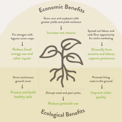 ecological and economic benefits of small grains