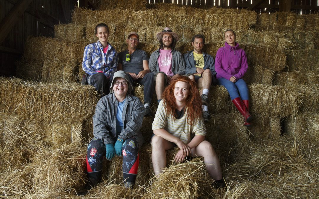 Shaping the Future of Agriculture: New Farmers, Local Food Systems and the Agricultural Policy Framework