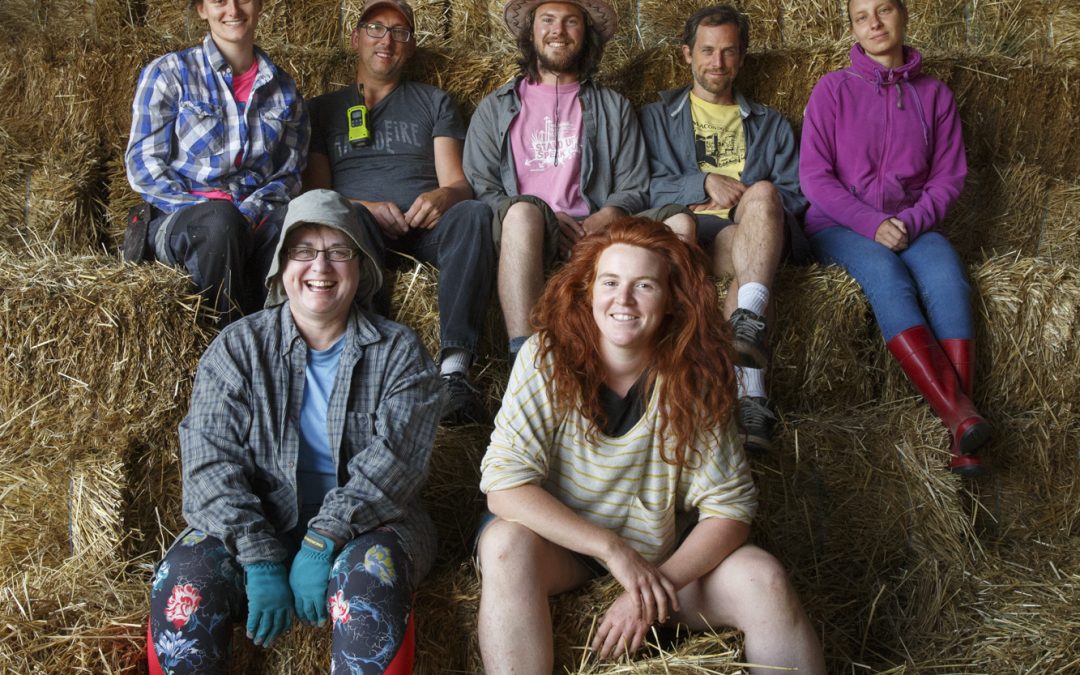 Shaping the Future of Agriculture: New Farmers, Local Food Systems and the Agricultural Policy Framework