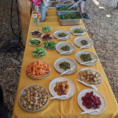 a table is set with a buttery yellow table cloth atop which numerous small plates of vegetables are prepared for tasting from the demonstration garden
