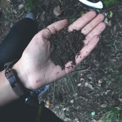 a light skinned hand filled with soil viewed from above